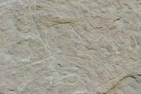 تبسة ما قبل الميلاد